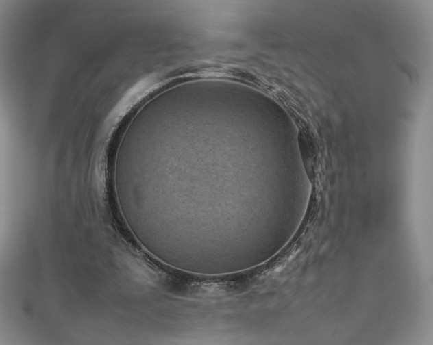 X0000111490295200907141244
