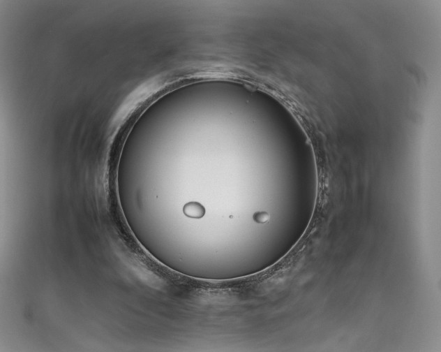 X0000111490296200907141244