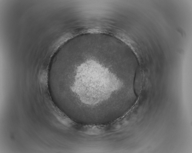 X0000111490297200907141244