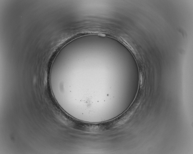 X0000111490301200907141244