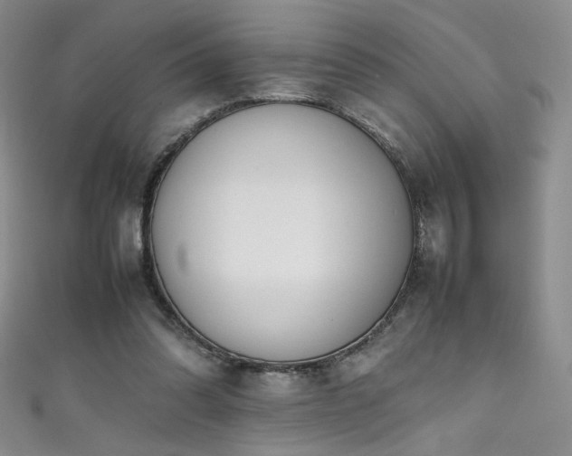 X0000111490302200907141244
