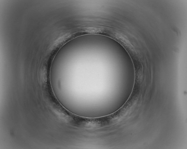 X0000111490303200907141244