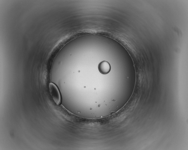 X0000111490304200907141244