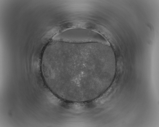 X0000111490305200907141244