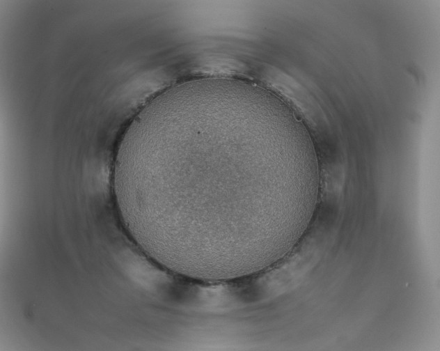 X0000111490309200907141244