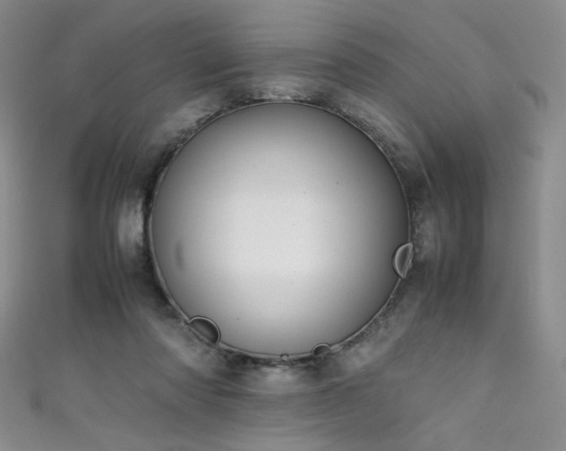 X0000111490310200907141244