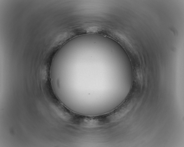X0000111490311200907141244
