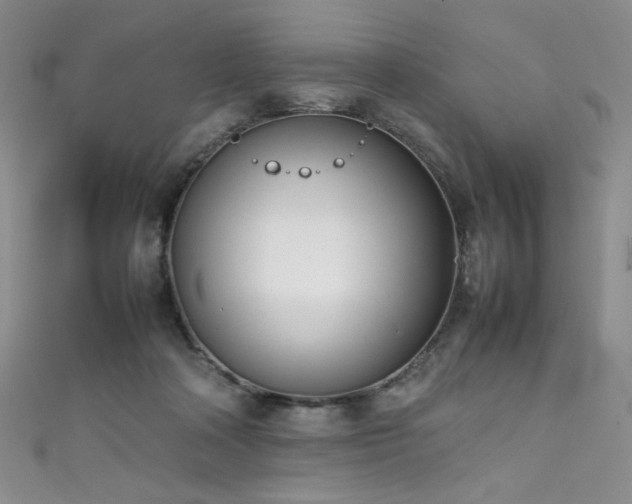 X0000111490314200907141244