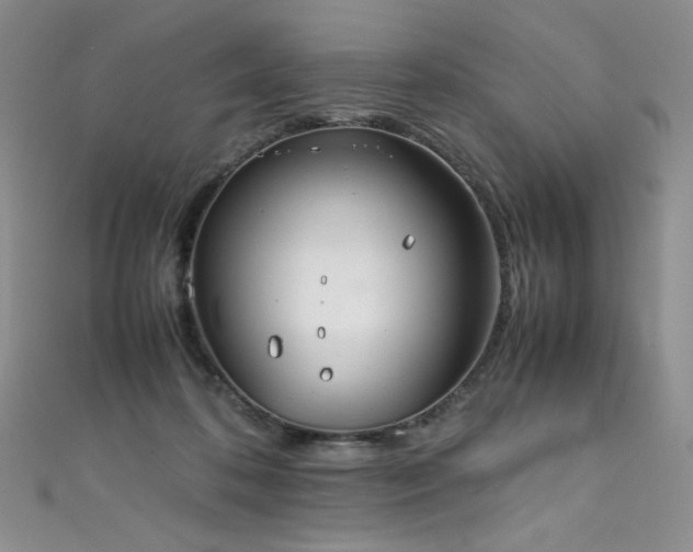 X0000111490316200907141244