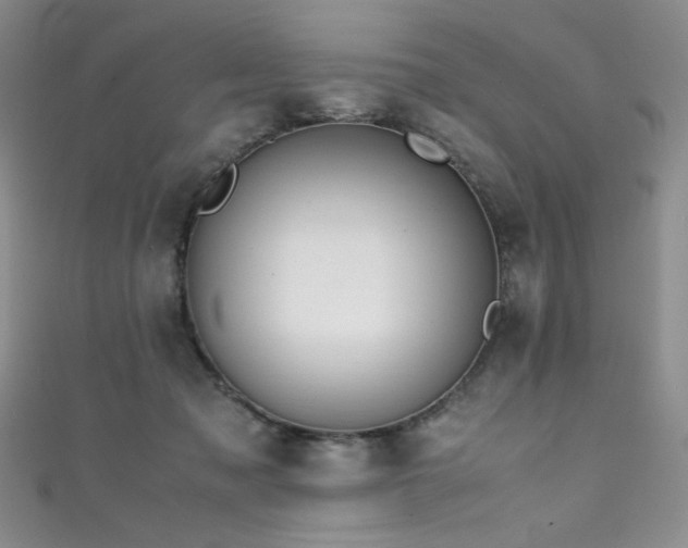 X0000111490317200907141244
