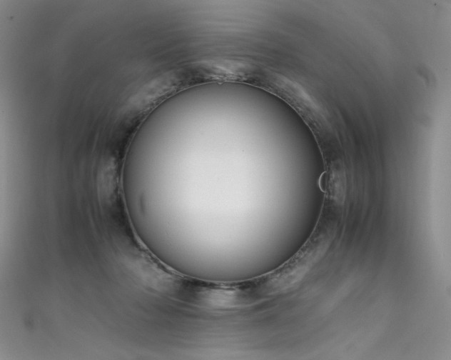 X0000111490318200907141244