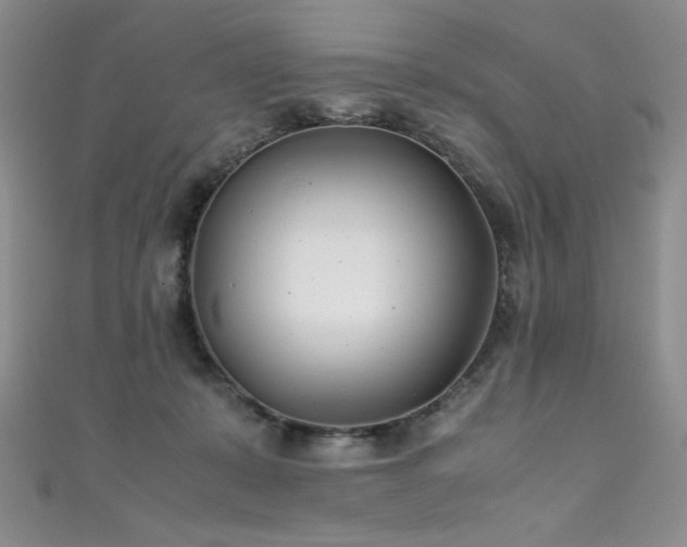 X0000111490319200907141244