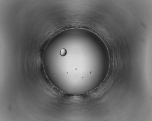 X0000111490320200907141244