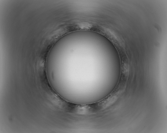 X0000111490321200907141244