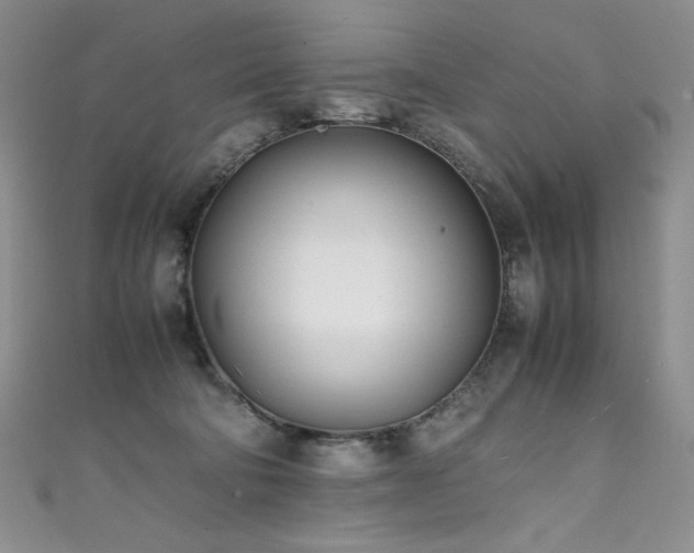 X0000111490322200907141244