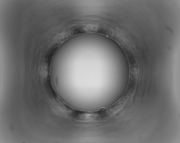 X0000111490323200907141244