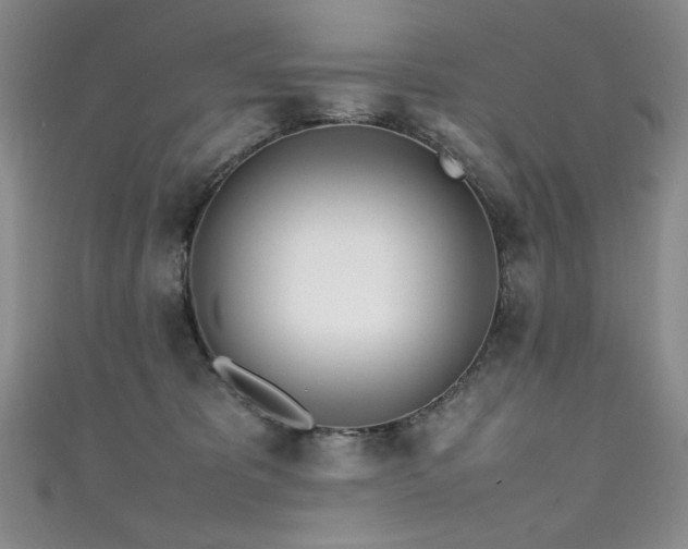 X0000111490325200907141244