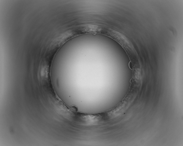 X0000111490326200907141244