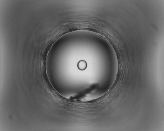 X0000111490327200907141244