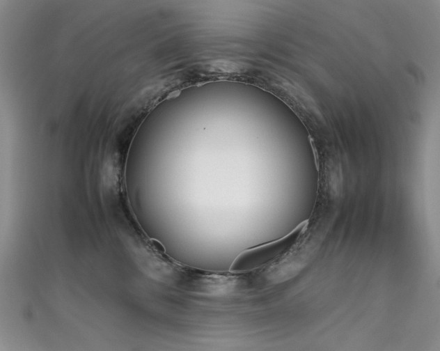 X0000111490328200907141244