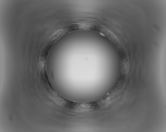 X0000111490329200907141244