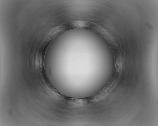 X0000111490330200907141244