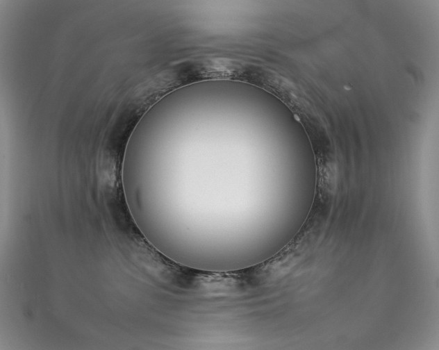 X0000111490331200907141244