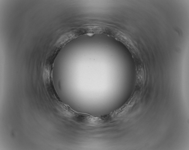 X0000111490333200907141244