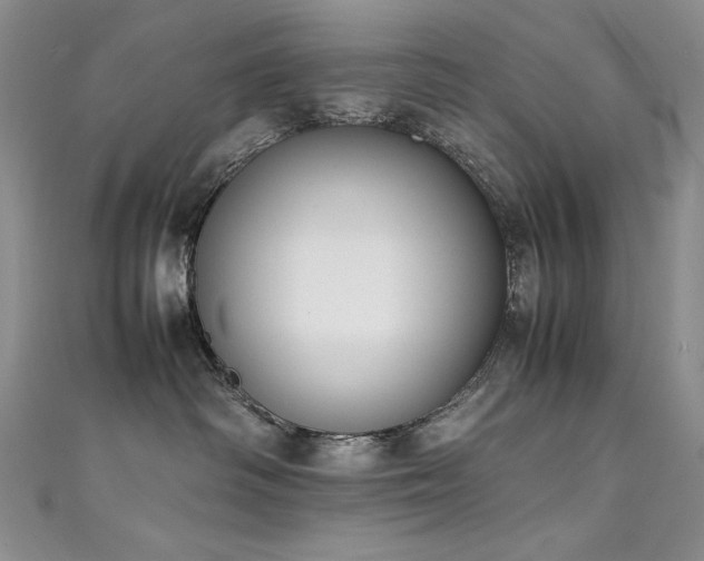 X0000111490334200907141244