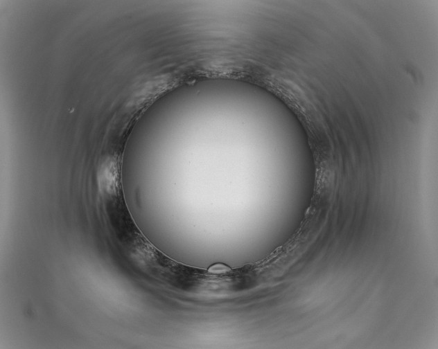 X0000111490335200907141244
