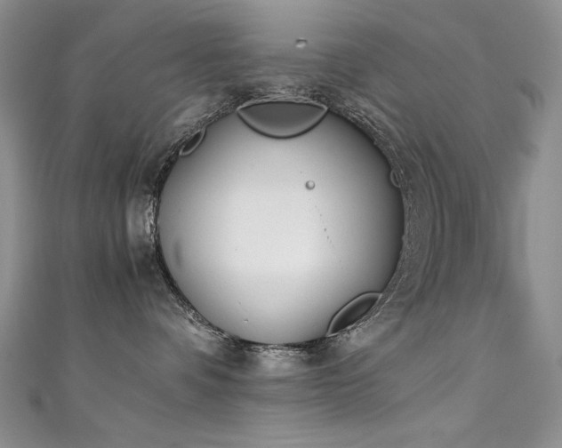 X0000111490336200907141244