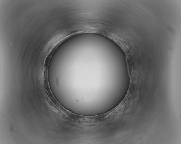 X0000111490338200907141243