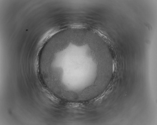 X0000111490339200907141243