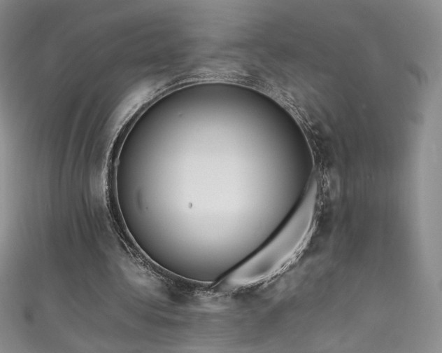 X0000111490340200907141243