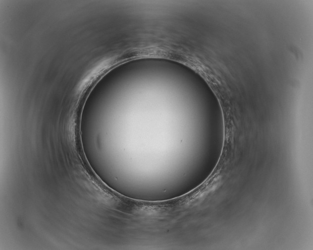 X0000111490341200907141243