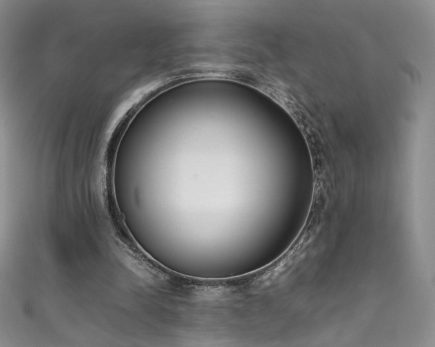 X0000111490342200907141243