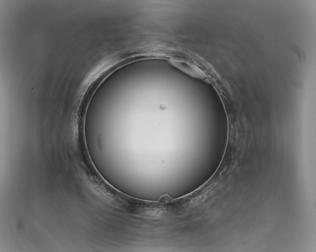 X0000111490344200907141243
