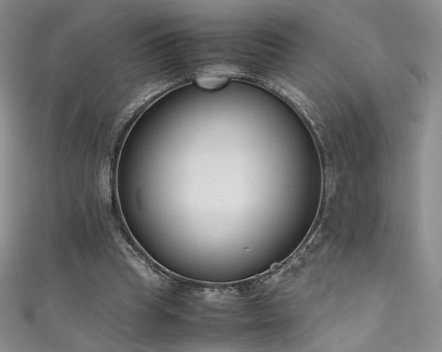 X0000111490345200907141243