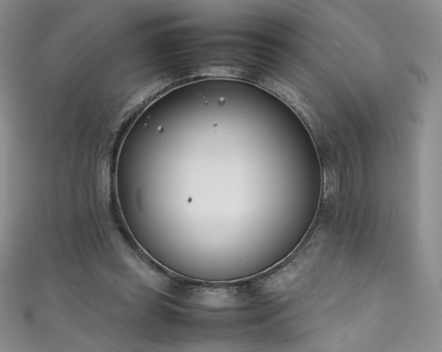 X0000111490349200907141243