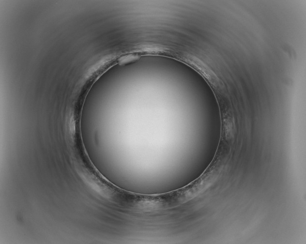 X0000111490350200907141243