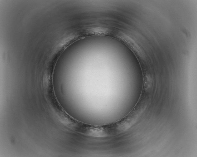 X0000111490355200907141243