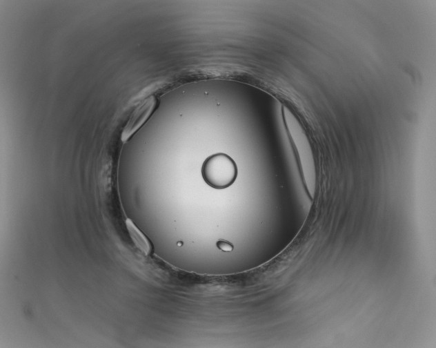 X0000111490356200907141243