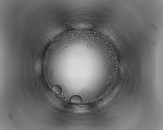 X0000111490359200907141243