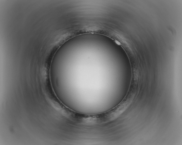 X0000111490362200907141243