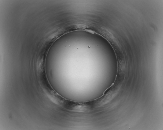 X0000111490364200907141243