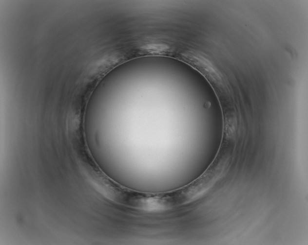 X0000111490365200907141243