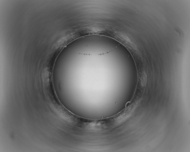 X0000111490366200907141243
