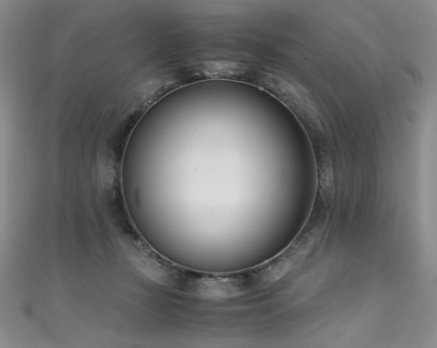 X0000111490367200907141243