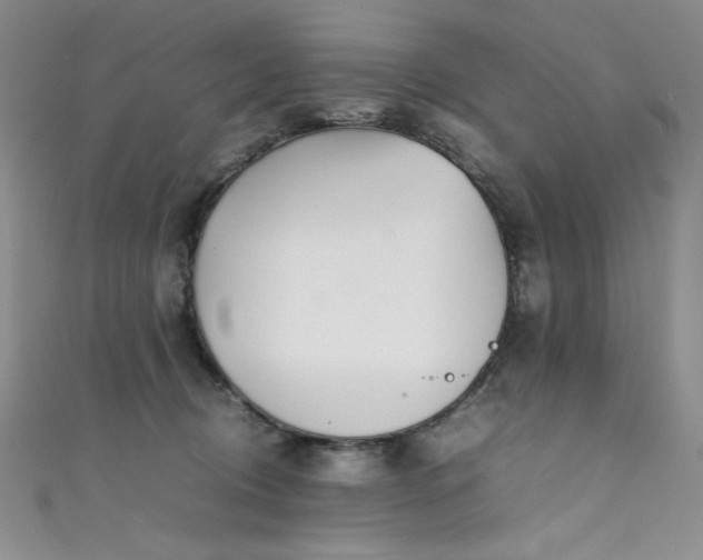 X0000111490370200907141243