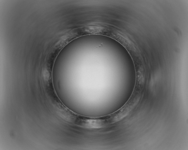 X0000111490371200907141243